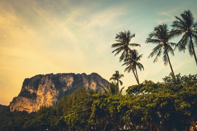 Jungle Adventure (Zipline, Abseil, Climb)