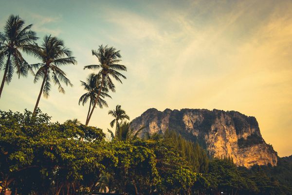 A mountain in the distance, with palm trees in the foreground
