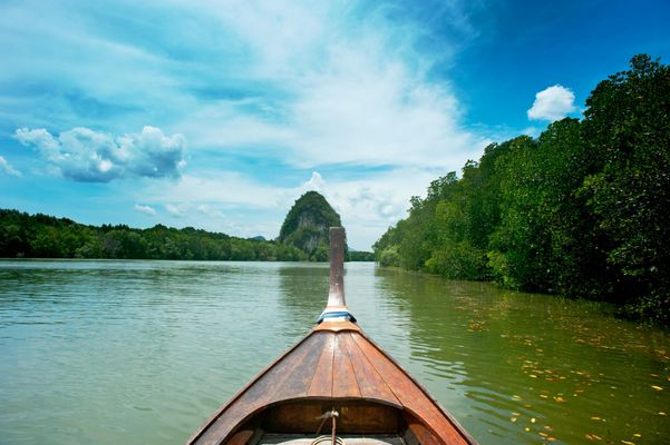 A photo taken from a boat on a wide river, with a mountain in the background